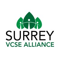 Surrey VCSE Alliance logo - Similar company to The Brigitte Trust
