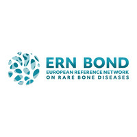 ERN BOND - European Reference Network on Rare Bone Diseases logo - Similar company to Ernica