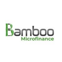 Bamboo microfinance logo - Similar company to Uba Gabon