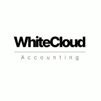 WhiteCloud Accounting logo - Similar company to Life Water | Best Sustainable Beverage Brand Winner