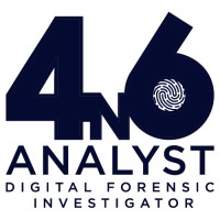 The 4n6 Analyst logo - Similar company to Analyst Technical Solutions
