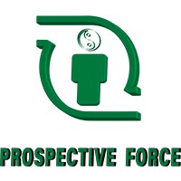 Prospective Force logo - Similar company to Prospective Industrie