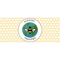 Bızzzzt Tercüme logo - Similar company to Başkent Tercüme Bürosu