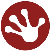 Bright Frog : IT and Business Transformation