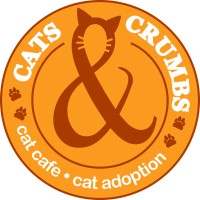 Cats and Crumbs Cat Cafe logo - Similar company to Fat Cat Cafe
