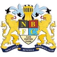 Newcastle Benfield Football Club logo - Similar company to Penrith Afc