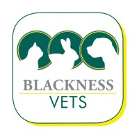 Blackness Vets