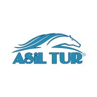 Asil Tur logo - Similar company to Kıyam Turizm Hac Ve Umre Organizasyonu