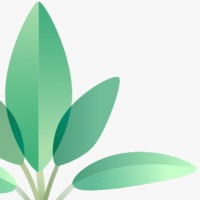 Fremont Sage LLC logo - Similar company to Infield Ventures
