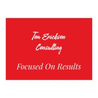 Tom Erickson Consulting logo - Similar company to Translating Security