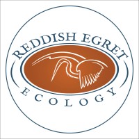 Reddish Egret Ecology