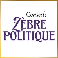 Conseils Zèbre Politique logo - Similar company to Biblio. Enap