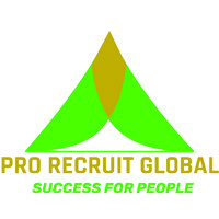 Pro Recruit Global logo - Similar company to Pro-Recruitment Group