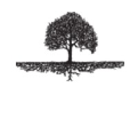 Fiduciam Capital logo - Similar company to Basis Capital Holdings Llp | Synartis Equity Partners