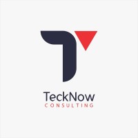 TeckNow Consulting LLC logo - Similar company to Tecknow Solutions