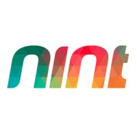 Nint logo - Similar company to Maze Red. By E-Solutions.
