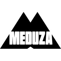 MEDUZA logo - Similar company to Ty'R Ddraig