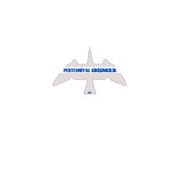 Pertevniyal Lisesi Girişimcilik Kulübü logo - Similar company to Pertevniyal High School