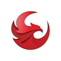 Phoenix Broadband Technologies logo - Similar company to Future Ready Solutions