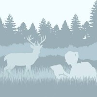 Conservation Job Board logo - Similar company to Dewees Island