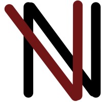 Nava Data logo - Similar company to Navana.Ai