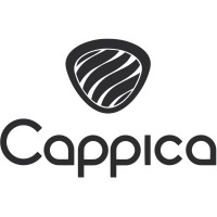 Cappica Ventures Inc. logo - Similar company to Virtual Tax & Consulting