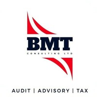 BMT Consulting logo - Similar company to Soteria Systems