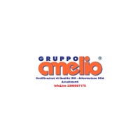 GRUPPO AMELIO logo - Similar company to Gruppo I-Tec