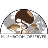 Mushroom Observer, Inc. logo - Similar company to Exeter Food