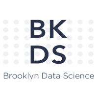 Brooklyn Data Science logo - Similar company to Brooklyn Data (Velir'S Data Studio)