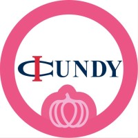 CUNDY, Inc. logo - Similar company to Plan Analysts