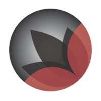 LBS - Lotus Business Solutions logo - Similar company to Petara Corporation
