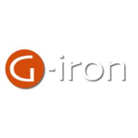 G-iron Low Frequency Magnetic Shield logo - Similar company to Raffaele Borrazzi Insurance Manager