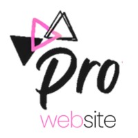 Prowebsite logo - Similar company to Digimade