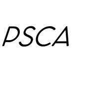 Parikh Shah Chotalia & Associates logo - Similar company to Enable Ex