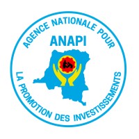 ANAPI-RDC logo - Similar company to Tinda