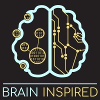 Brain Inspired logo - Similar company to Data X Direction