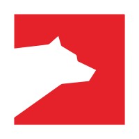 The Bear Consulting logo - Similar company to Kazezen