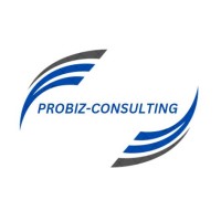 ProBiz Consulting Partners logo - Similar company to Dawley Group