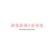 NERDIXUS logo - Similar company to Hq Tech