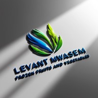 levant mwasem logo - Similar company to Nextgen Solutions