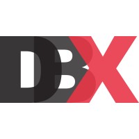 DBX Kft. logo - Similar company to Dolphio Tech