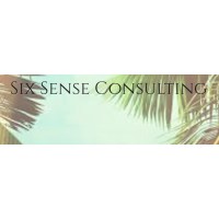 Six Sense Consulting logo - Similar company to Six Sense Consulting