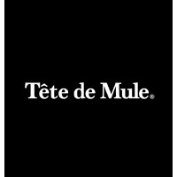 Tête de Mule B.V. logo - Similar company to Strides Jp
