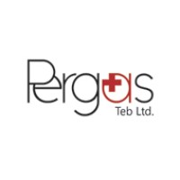 PergasTeb logo - Similar company to Bitweb Studio