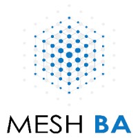 MeshBA Solutions LLP logo - Similar company to T