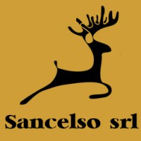 Sancelso s.r.l. logo - Similar company to Altara Films