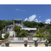 Lush Coastline Jamaica