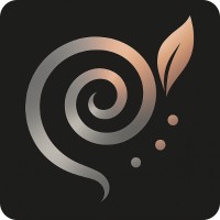 Lumon - AI Assistant logo - Similar company to Iqtransit, Inc.
