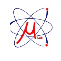 LABO MICRON logo - Similar company to Process Instruments Private Academy